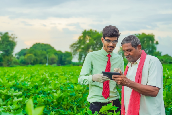 agronomical services