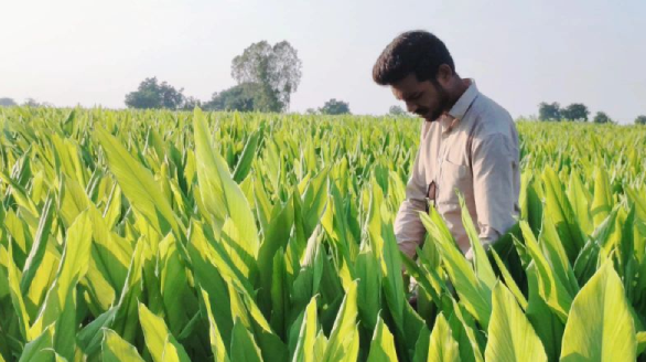 farmer visiting