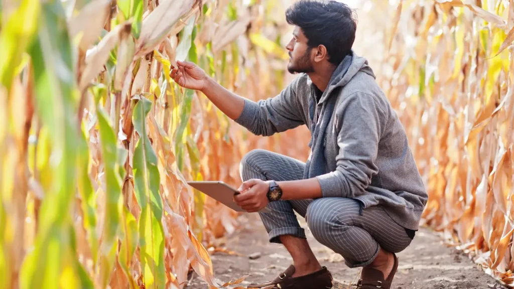 farming practicing