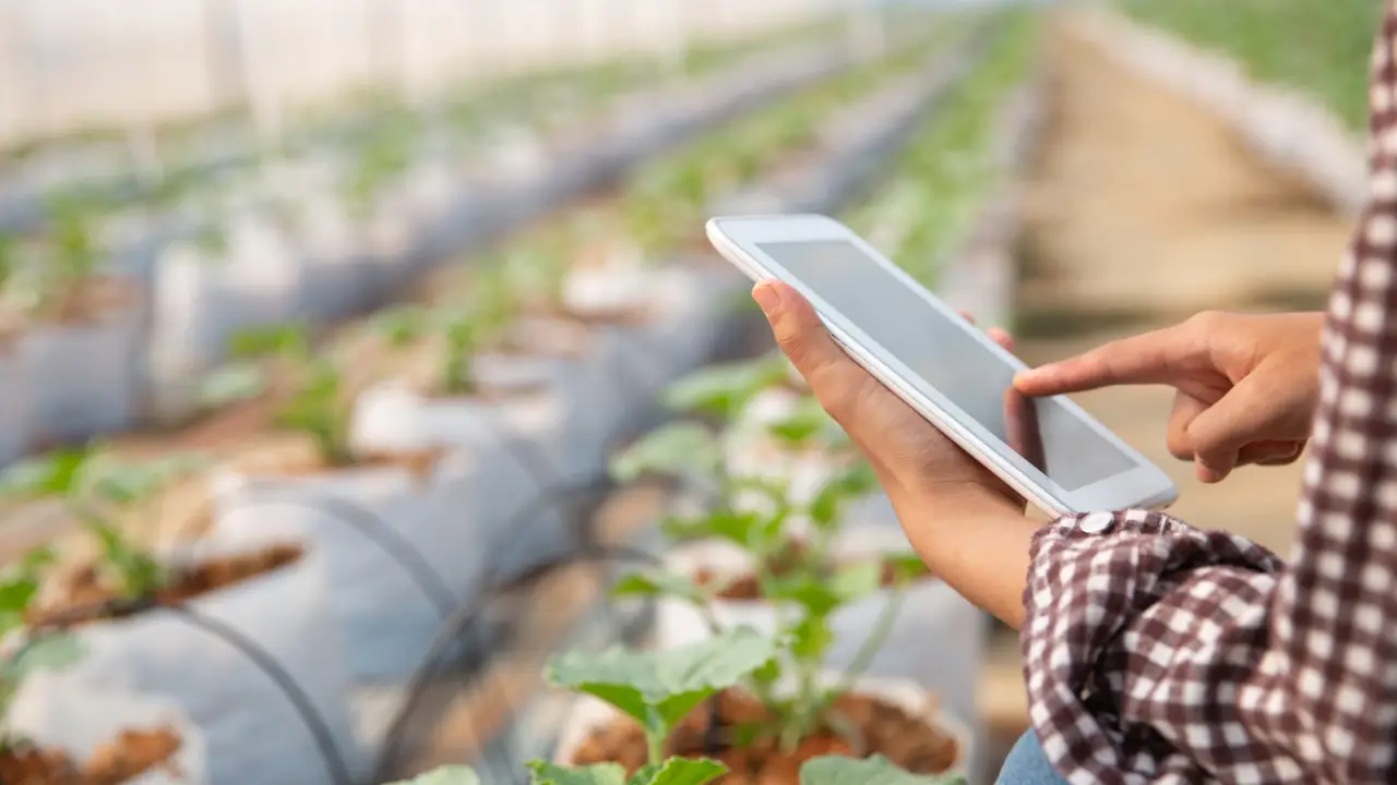 fertiliser application