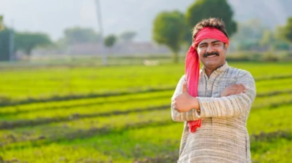 filds visit farmer